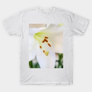 White Lily T-Shirt